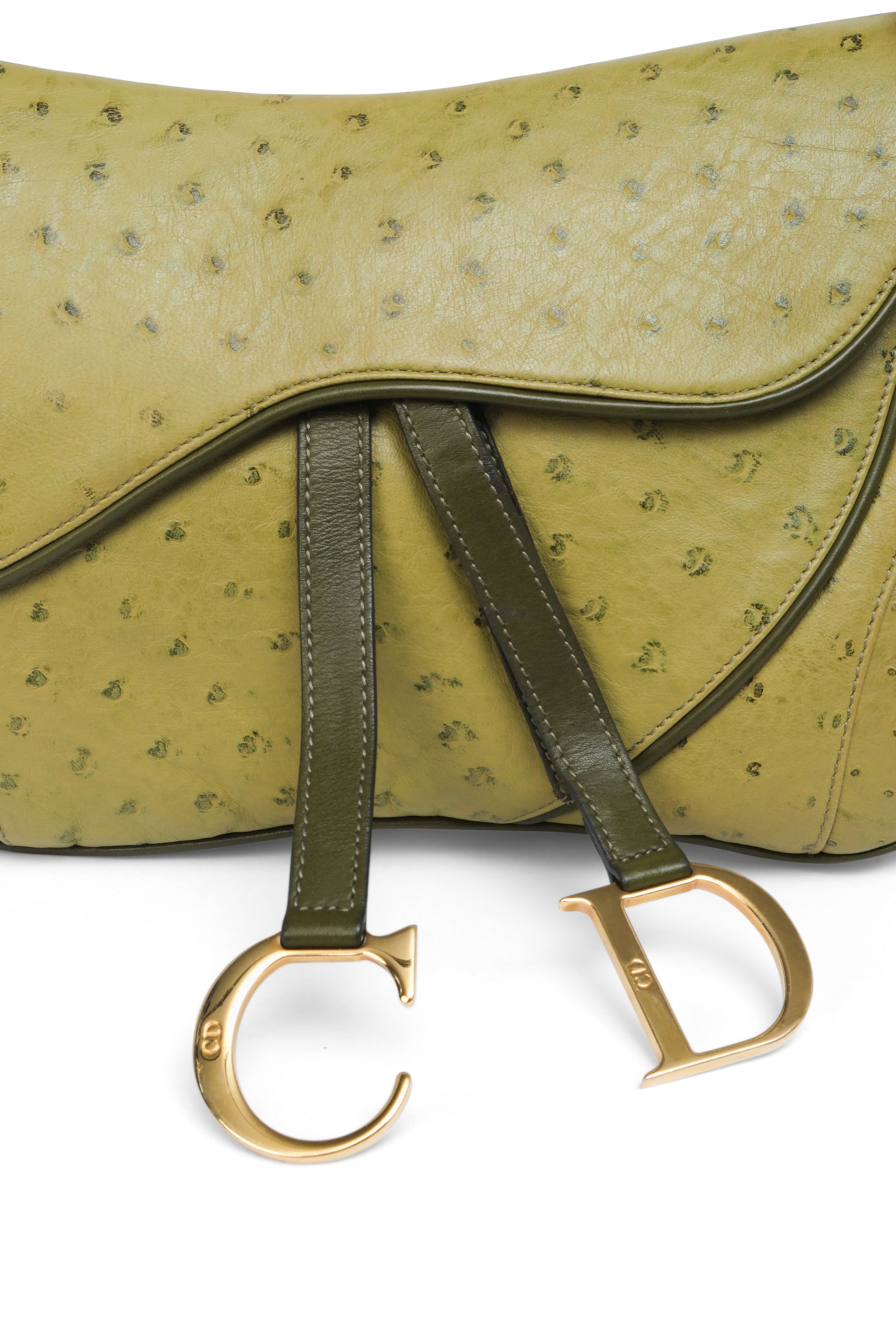 Dior Ostrich Double Saddle
