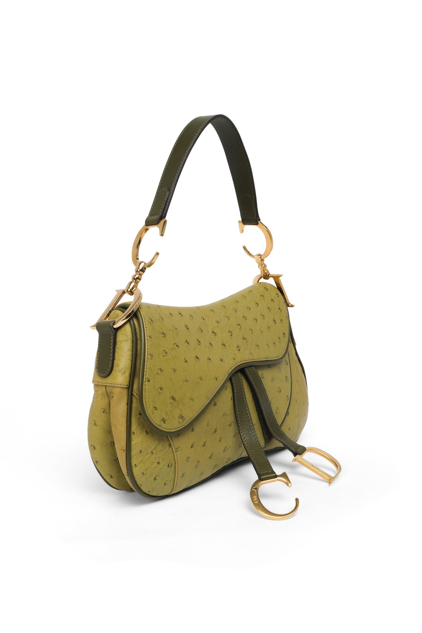 Dior Ostrich Double Saddle
