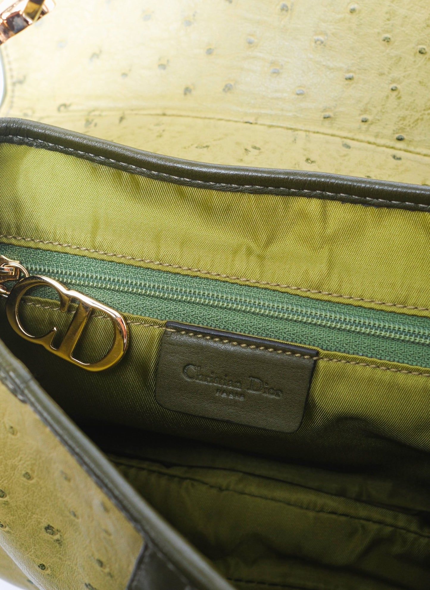 Dior Ostrich Double Saddle