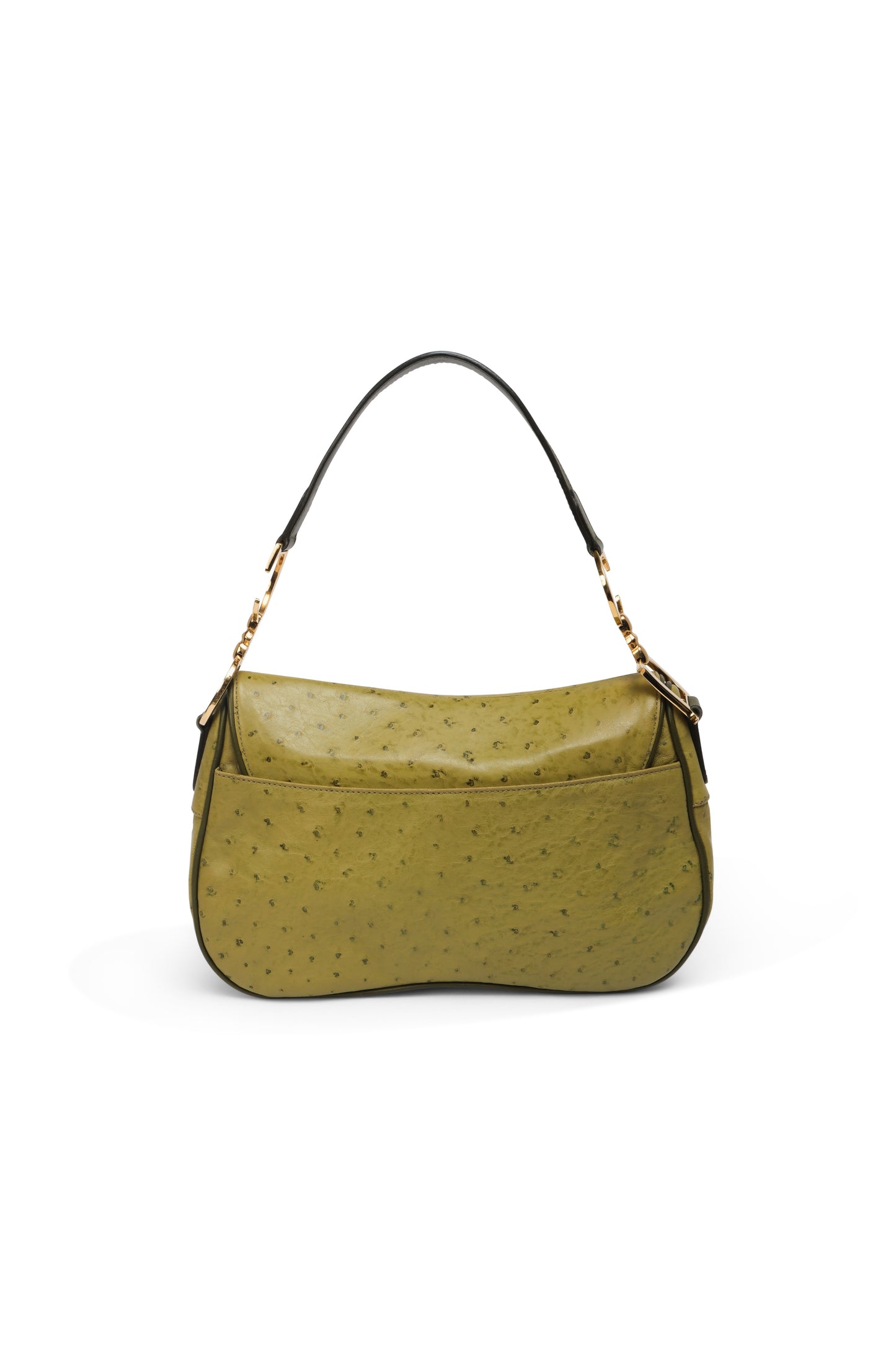 Dior Ostrich Double Saddle
