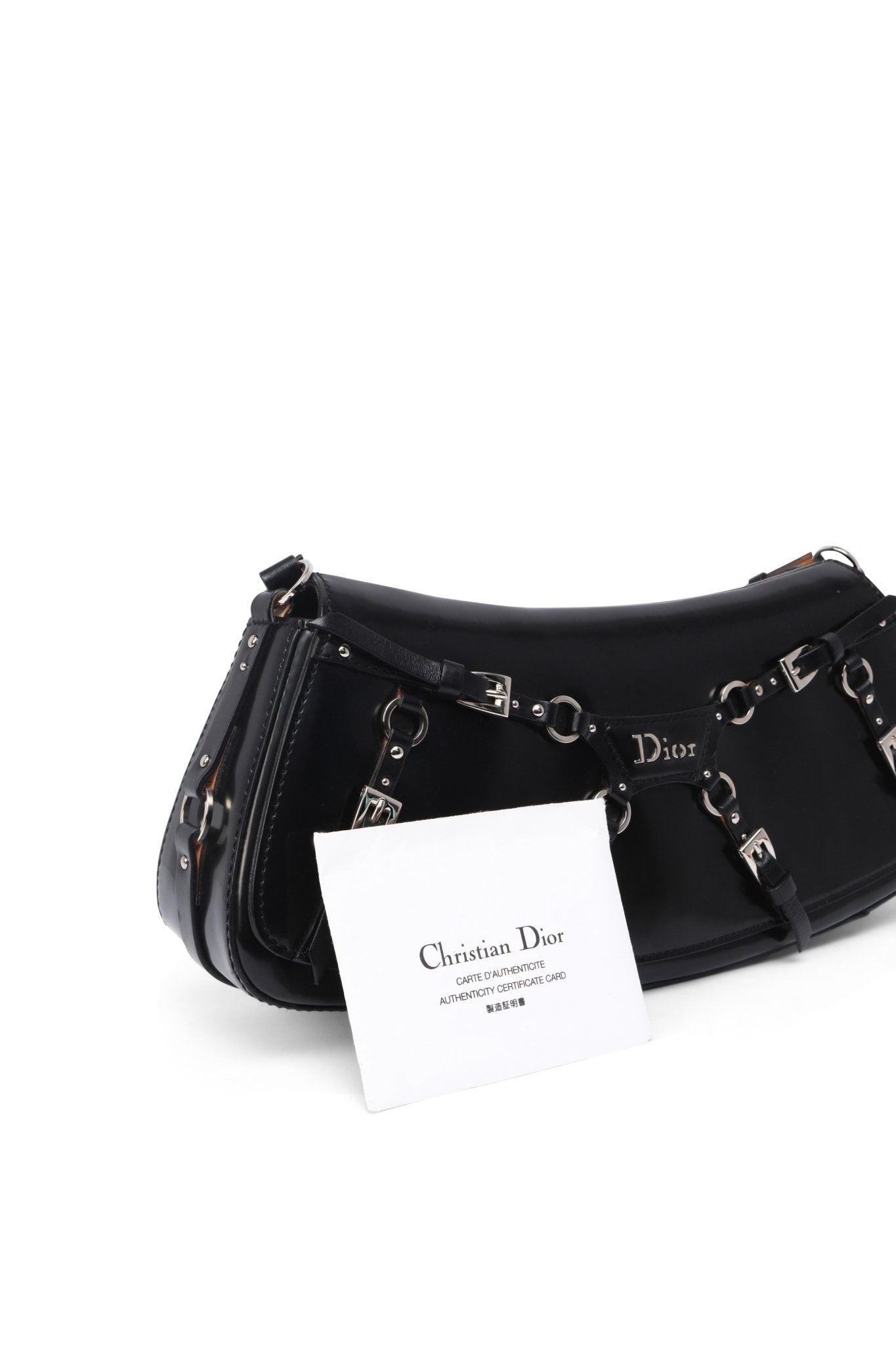 Dior Bondage Bag