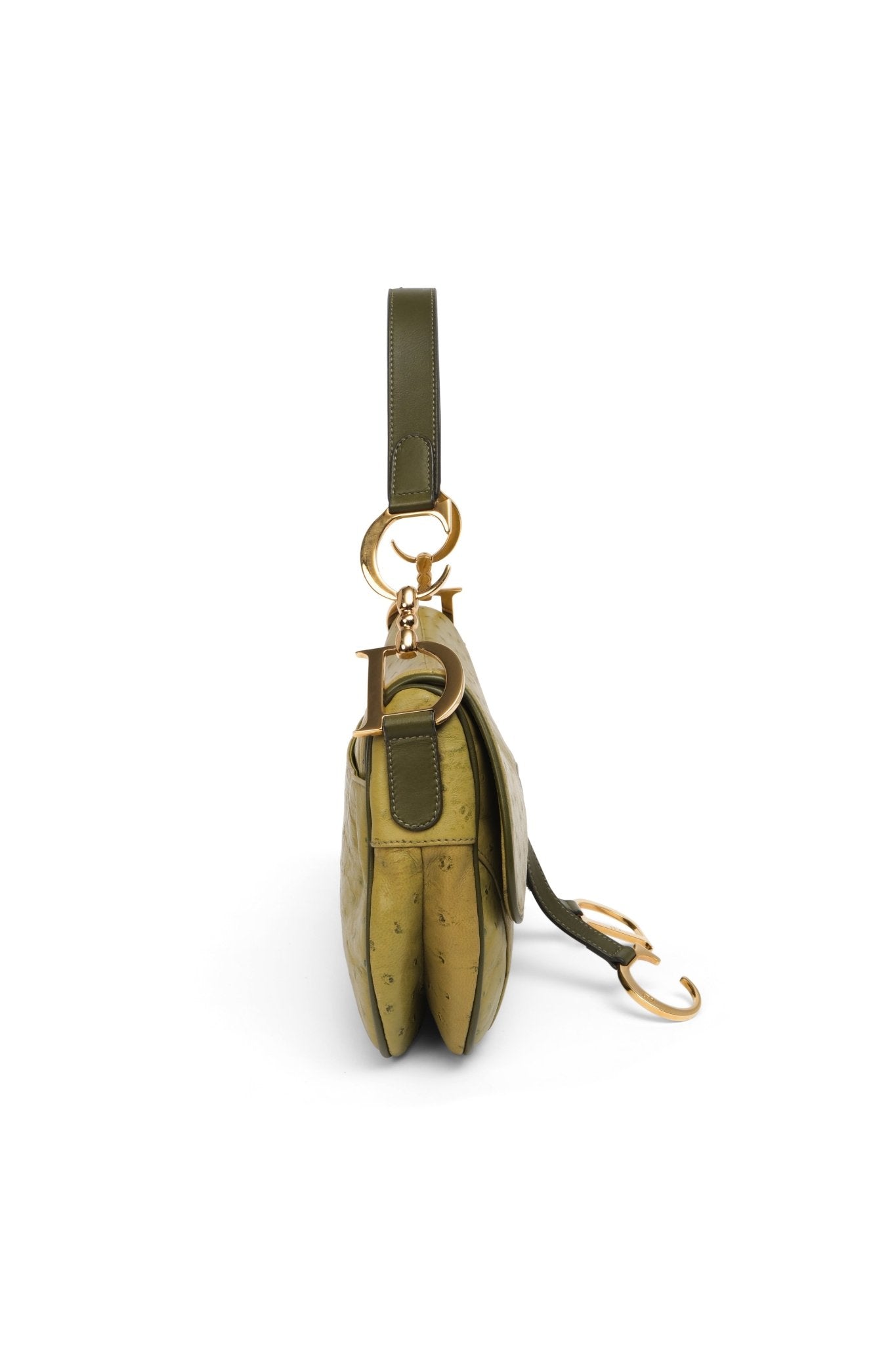 Dior Ostrich Double Saddle