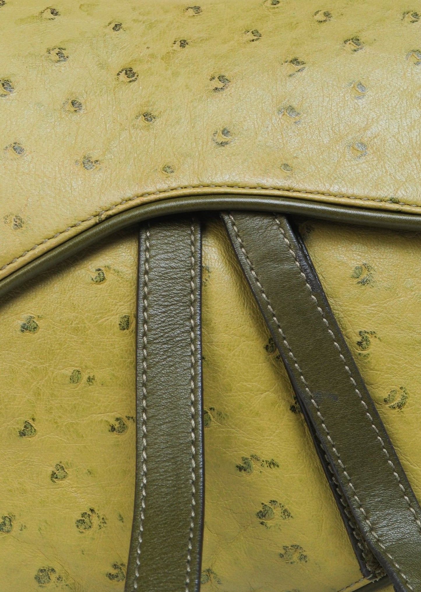 Dior Ostrich Double Saddle