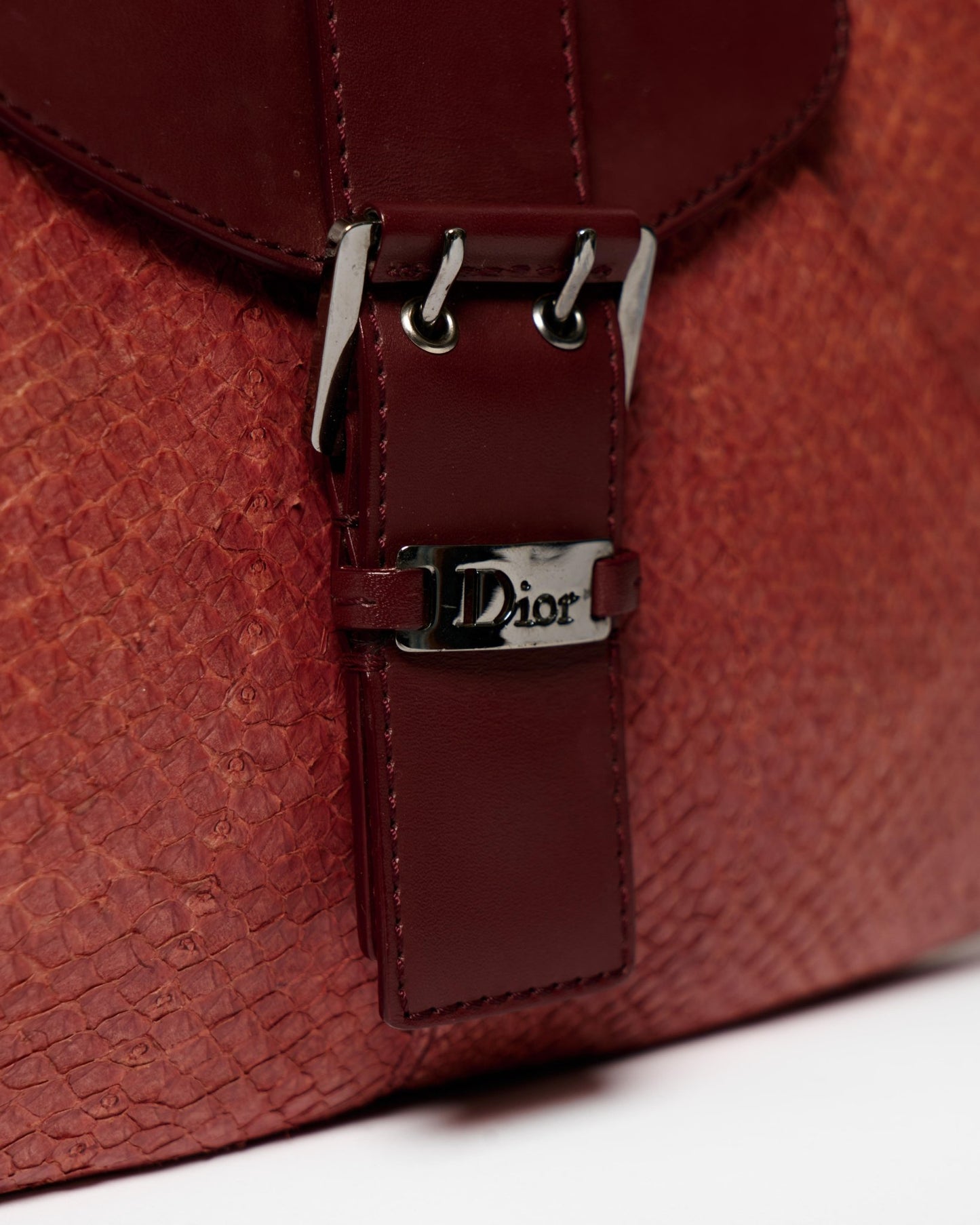 Dior Snakeskin Shoulder Bag