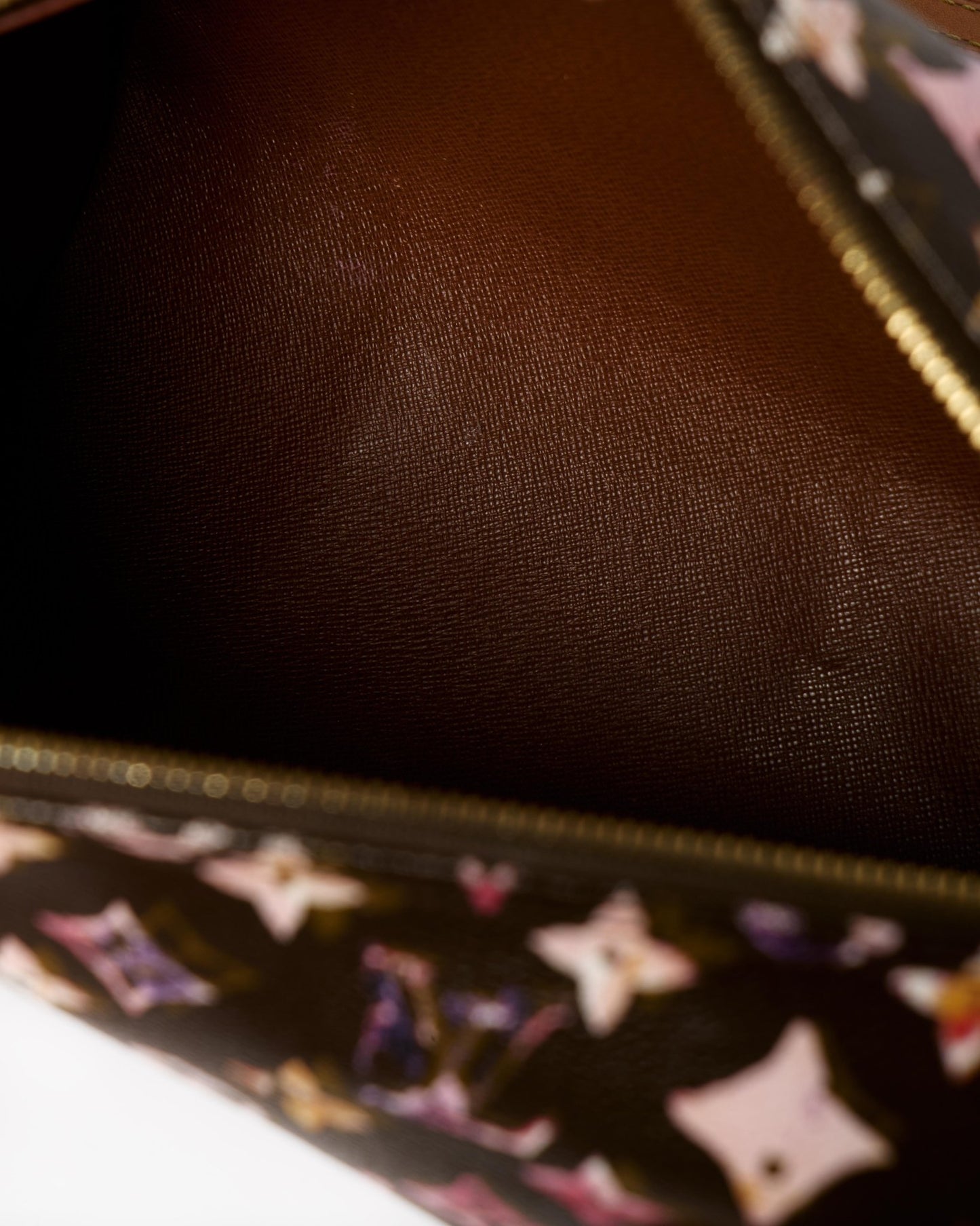 Louis Vuitton Richard Papillon Bag