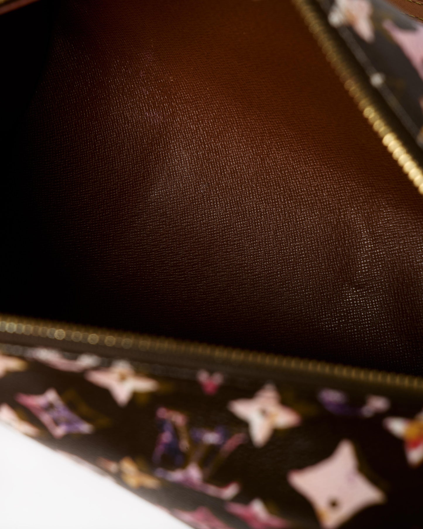 Louis Vuitton Richard Papillon Bag