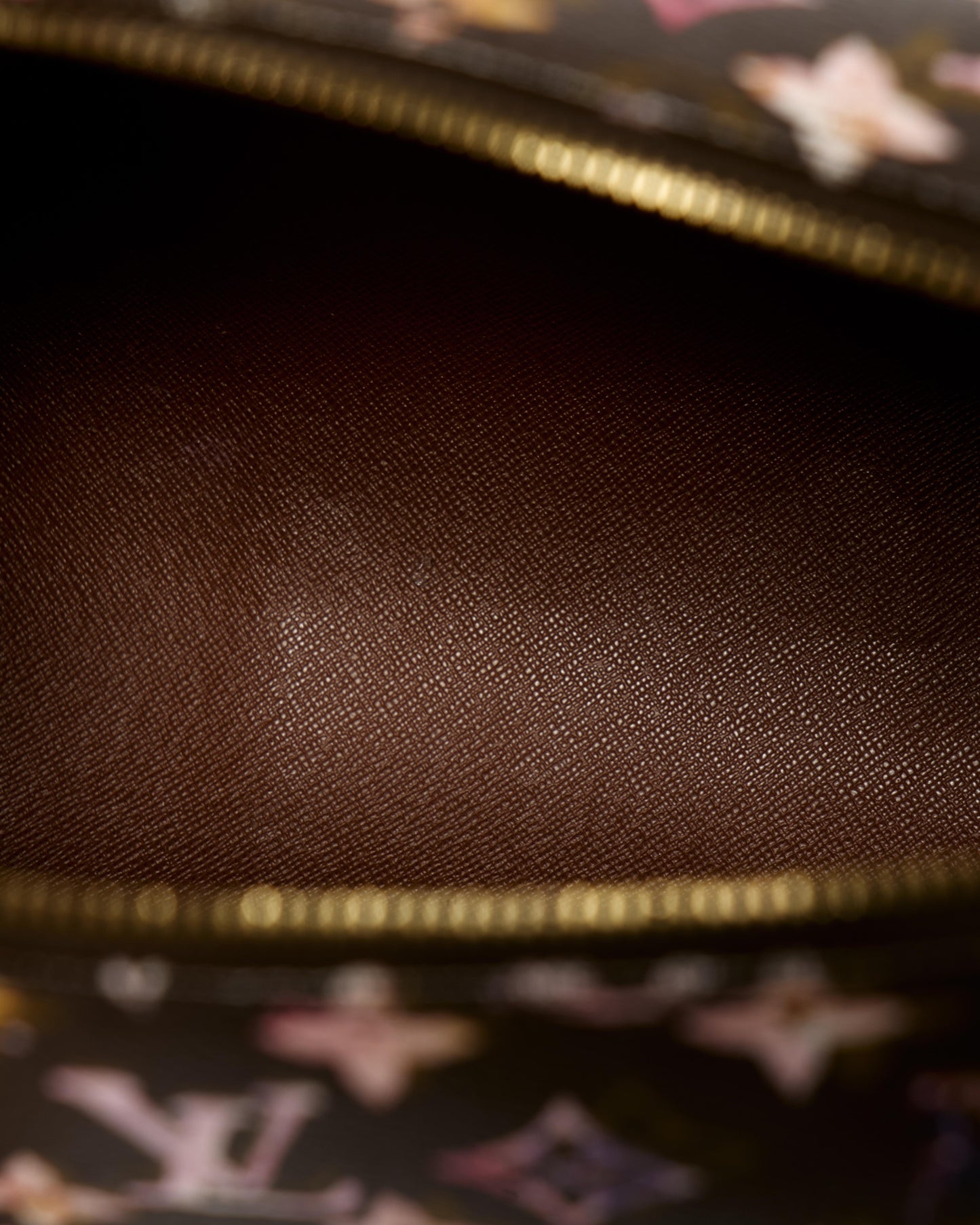 Louis Vuitton Richard Papillon Bag